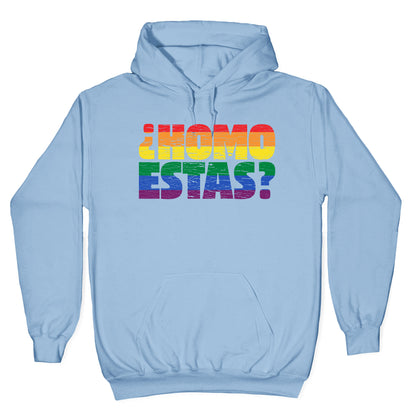 Homo Estas Hoodie