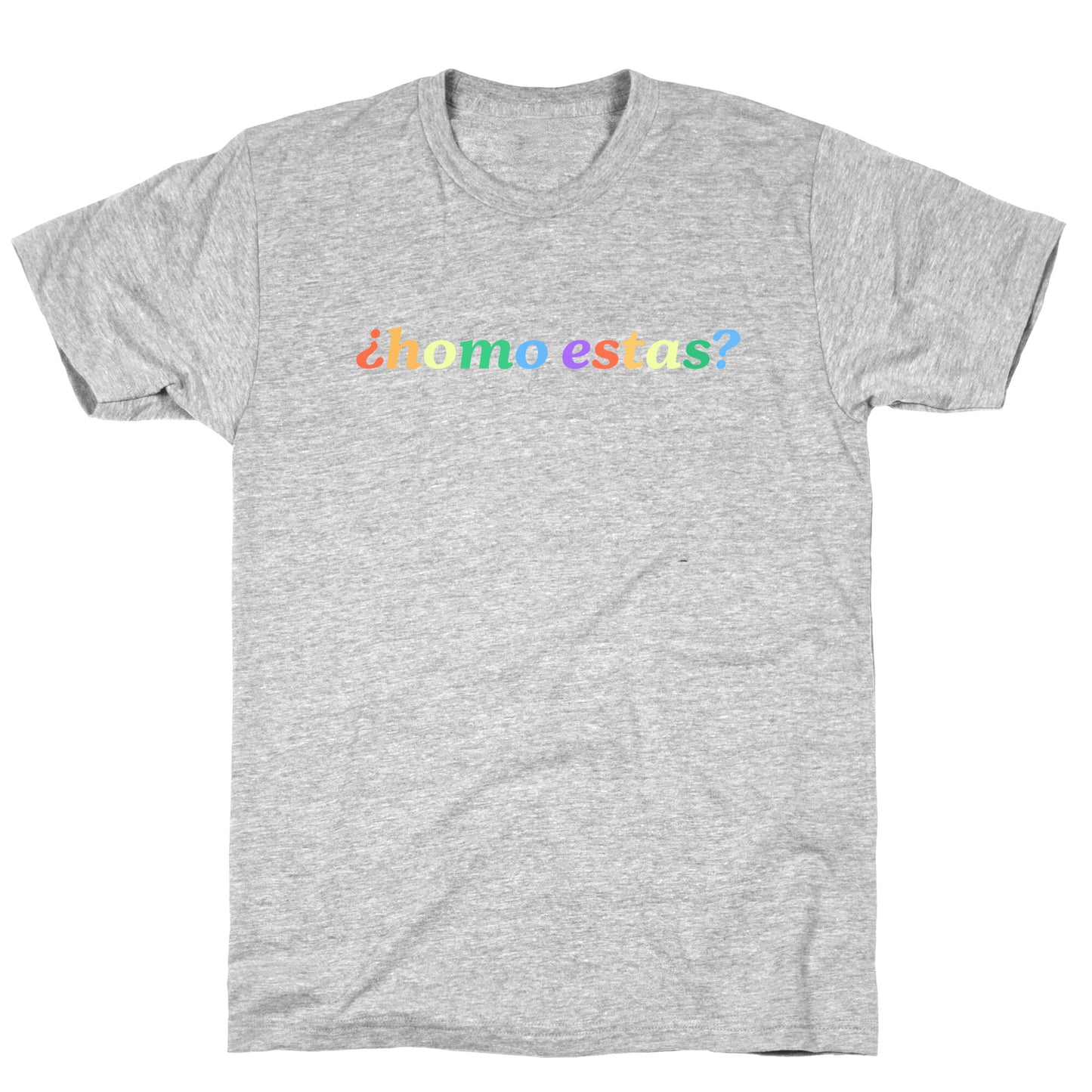 Homo Estas Rainbow T-Shirt