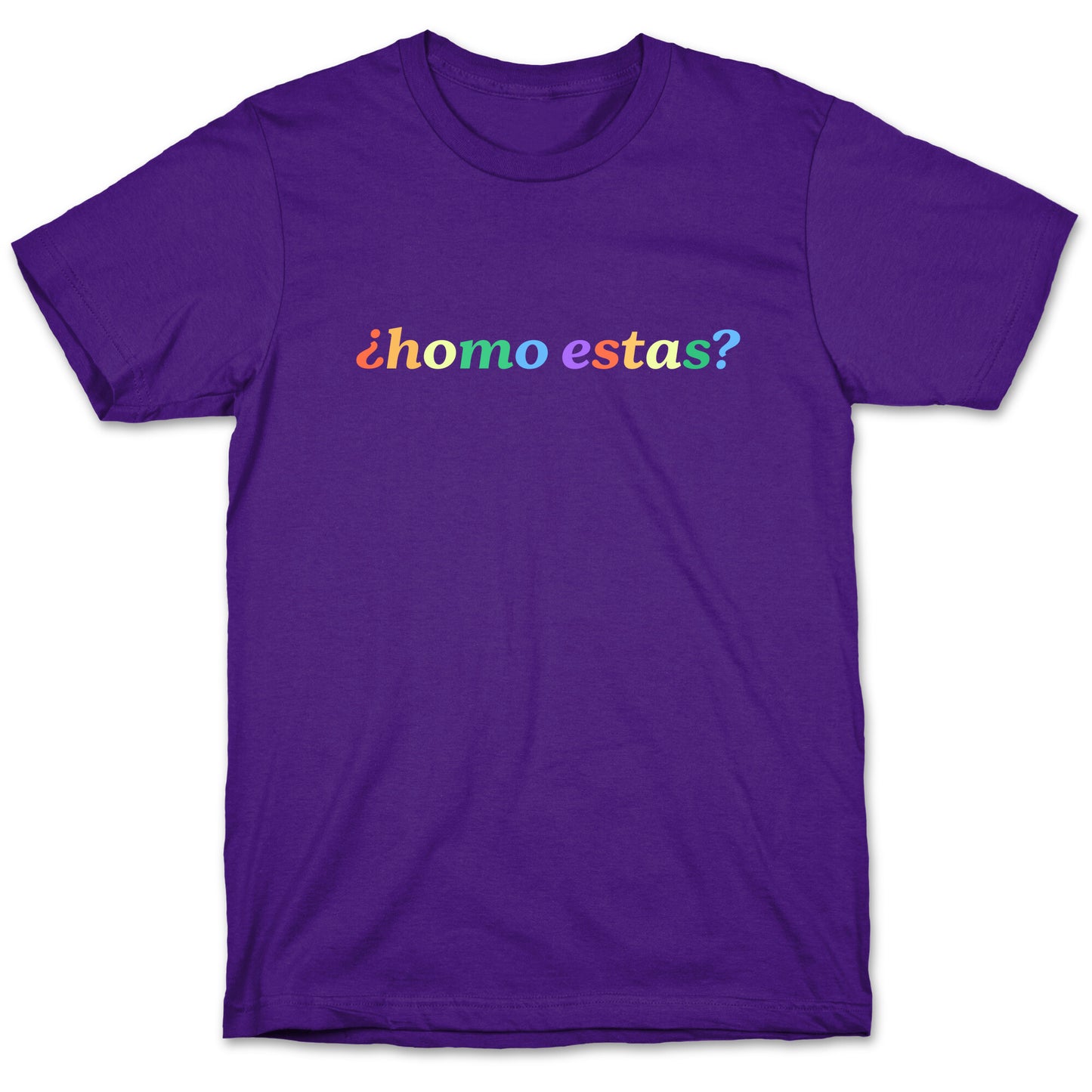 Homo Estas Rainbow T-Shirt