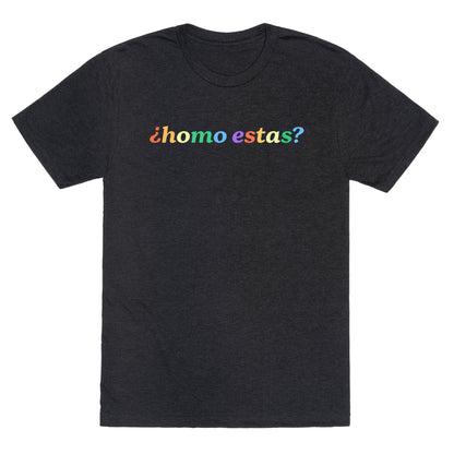 Homo Estas Rainbow Unisex Triblend Tee