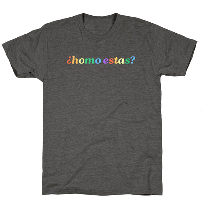 Homo Estas Rainbow Unisex Triblend Tee