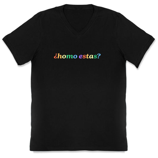 Homo Estas Rainbow V-Neck