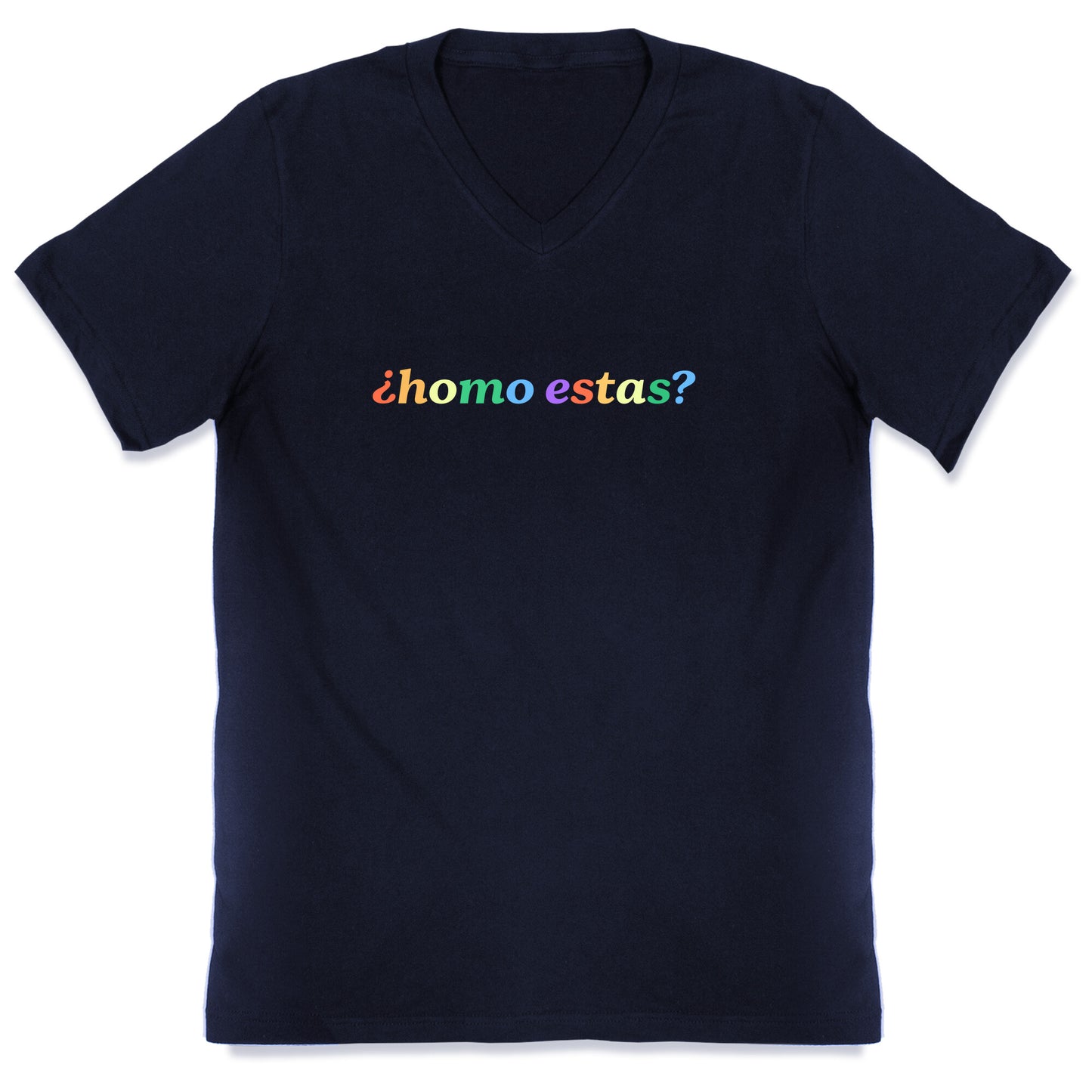 Homo Estas Rainbow V-Neck