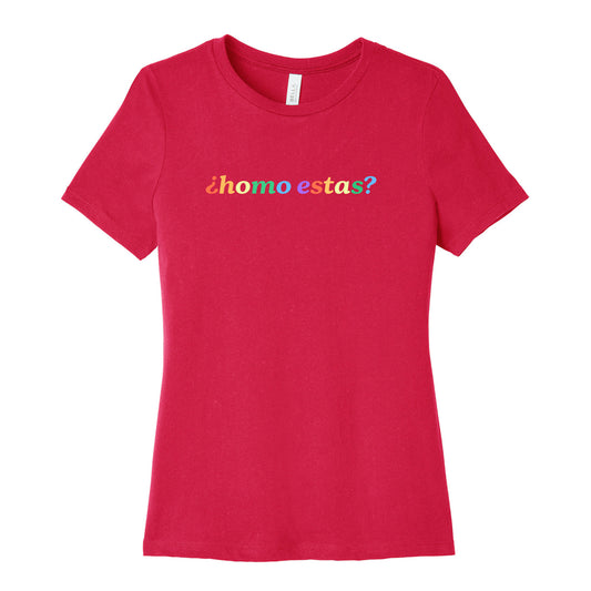 Homo Estas Rainbow Womens Relaxed Fit Cotton Tee