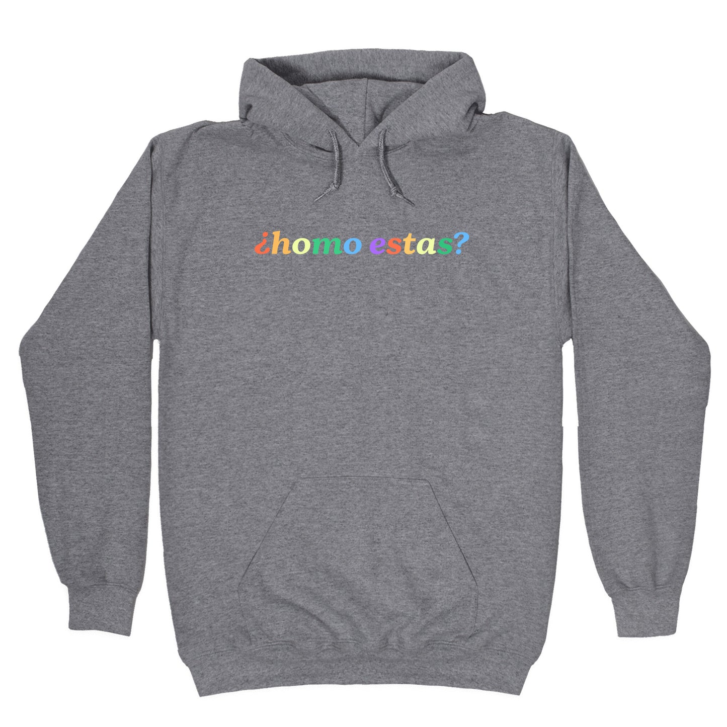 Homo Estas Rainbow Hoodie