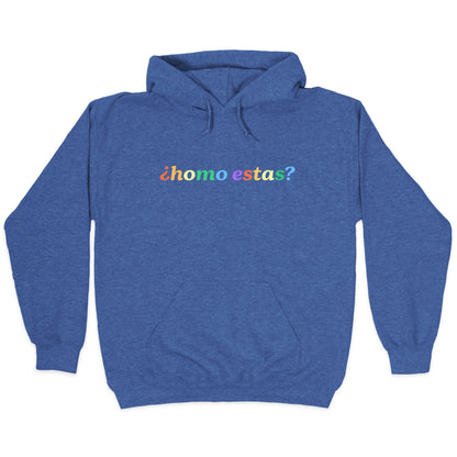 Homo Estas Rainbow Hoodie
