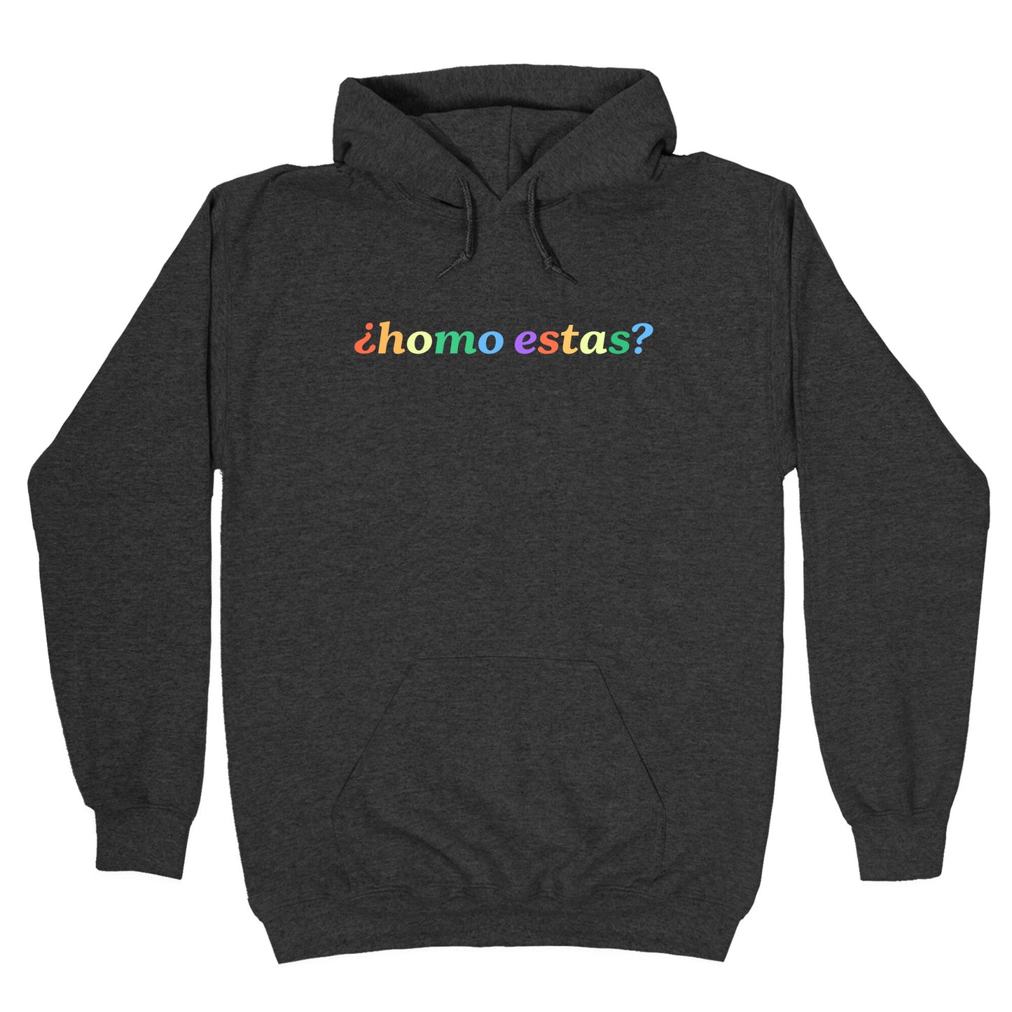 Homo Estas Rainbow Hoodie