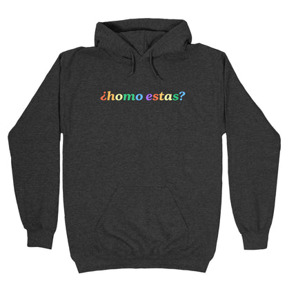 Homo Estas Rainbow Hoodie