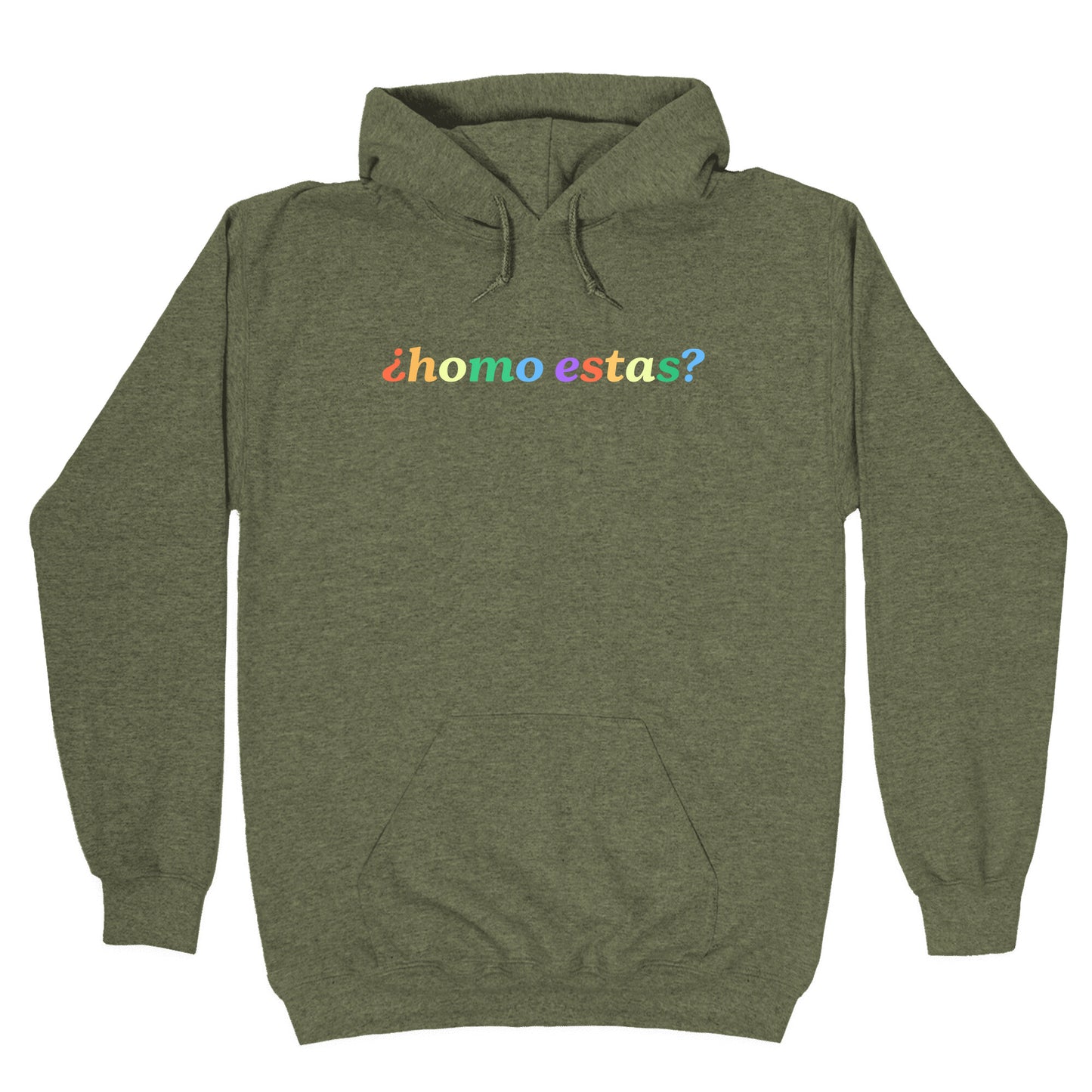 Homo Estas Rainbow Hoodie