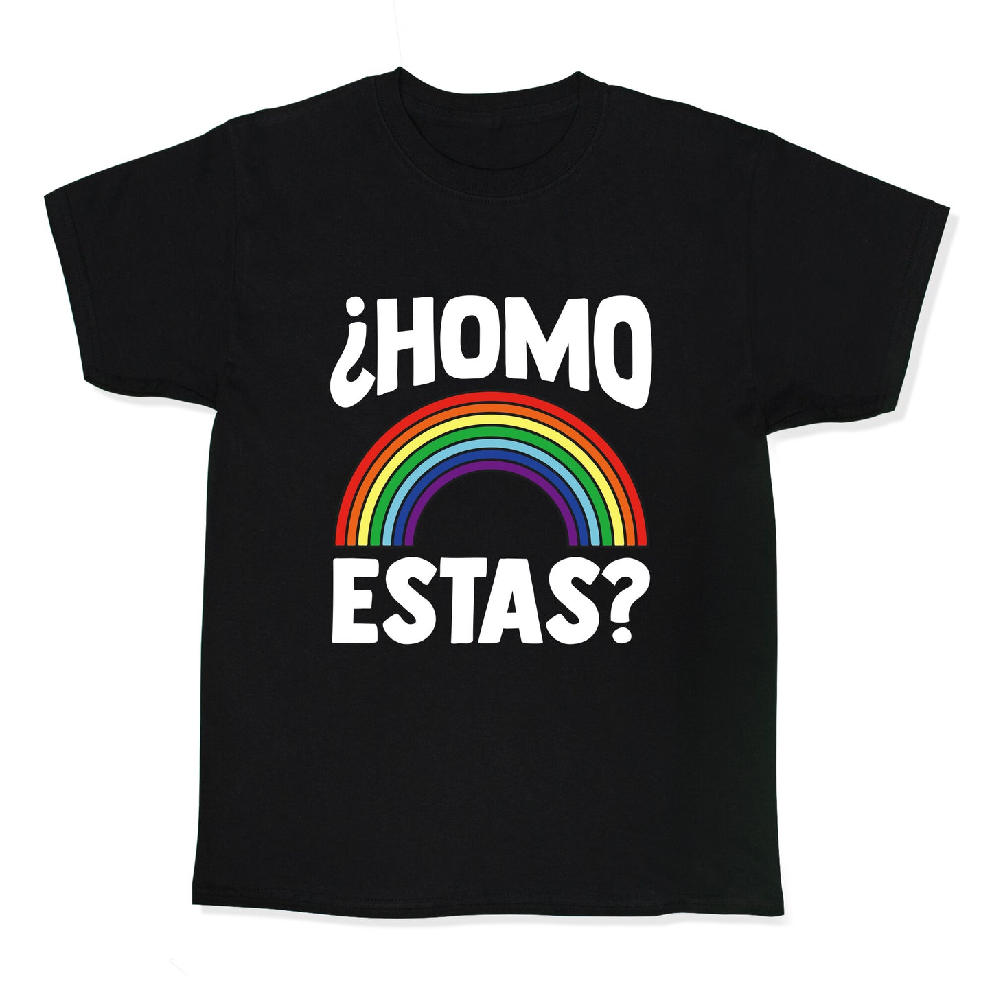 Homo Estas Rainbow Pride Kids Tee