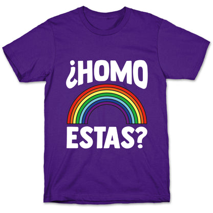 Homo Estas Rainbow Pride T-Shirt