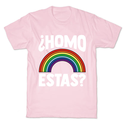 Homo Estas Rainbow Pride T-Shirt