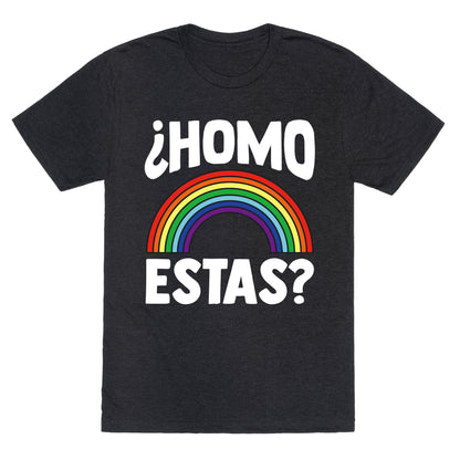 Homo Estas Rainbow Pride Unisex Triblend Tee