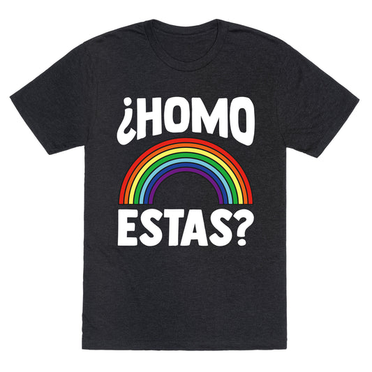 Homo Estas Rainbow Pride Unisex Triblend Tee