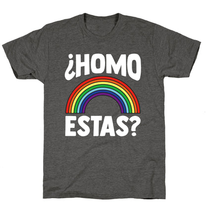 Homo Estas Rainbow Pride Unisex Triblend Tee