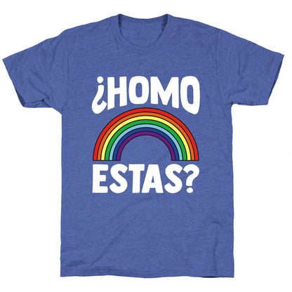 Homo Estas Rainbow Pride Unisex Triblend Tee