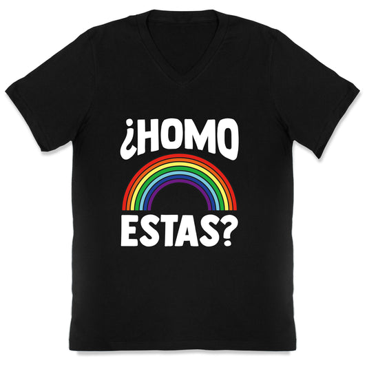Homo Estas Rainbow Pride V-Neck