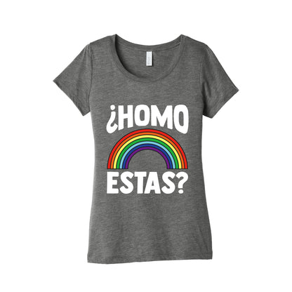 Homo Estas Rainbow Pride Womens Triblend Tee