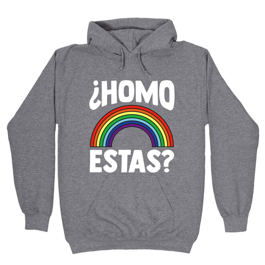 Homo Estas Rainbow Pride Hoodie