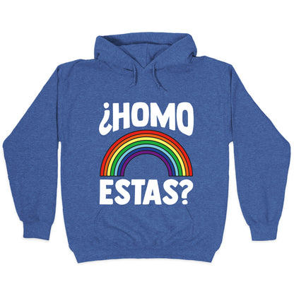 Homo Estas Rainbow Pride Hoodie
