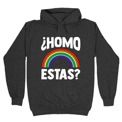 Homo Estas Rainbow Pride Hoodie