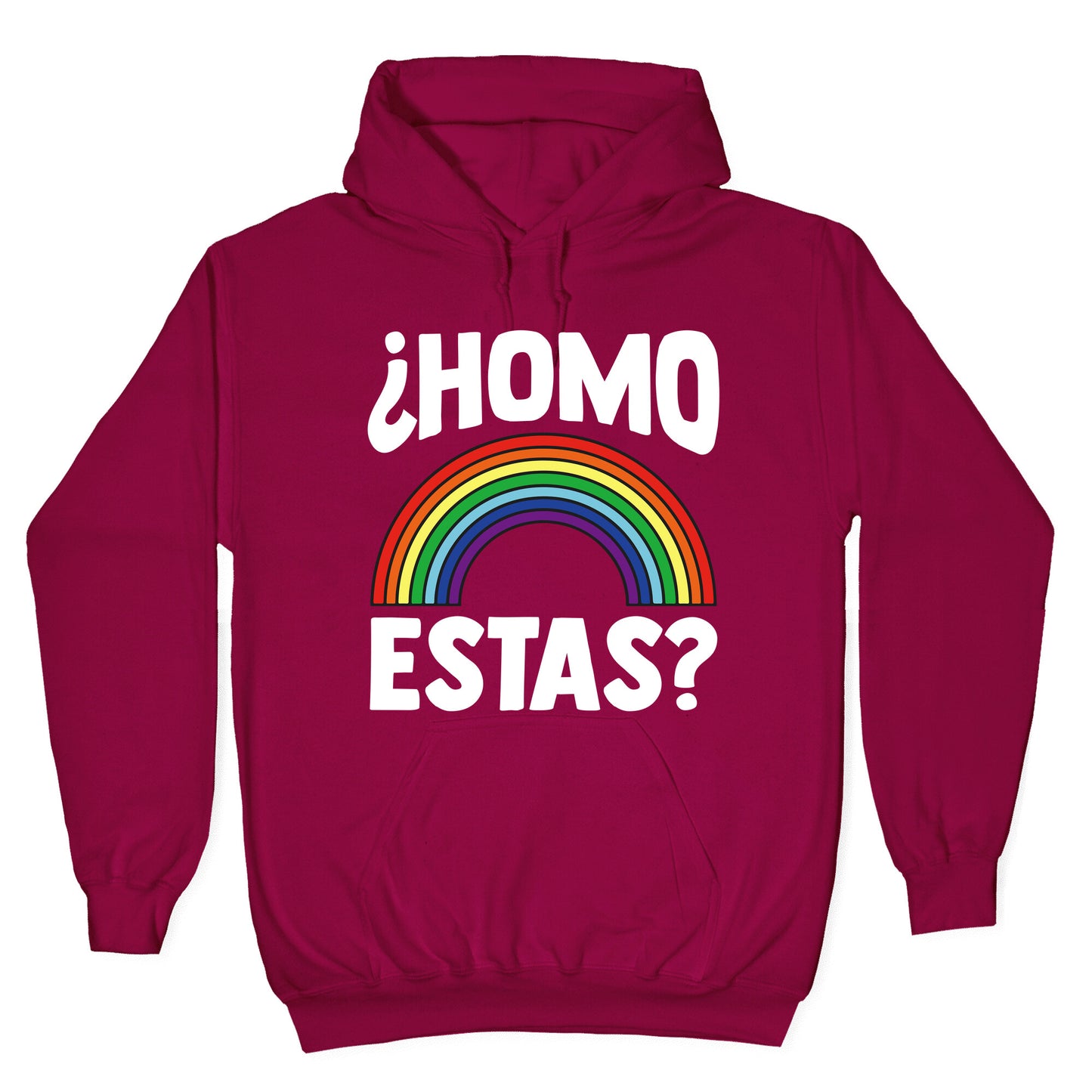 Homo Estas Rainbow Pride Hoodie