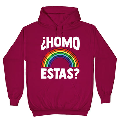 Homo Estas Rainbow Pride Hoodie