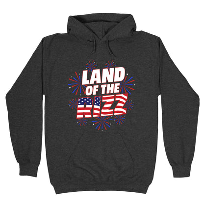 Land of the Rizz Hoodie