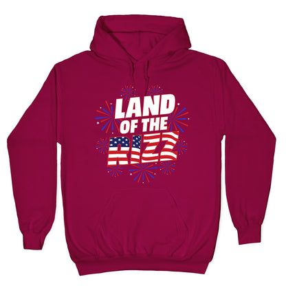 Land of the Rizz Hoodie