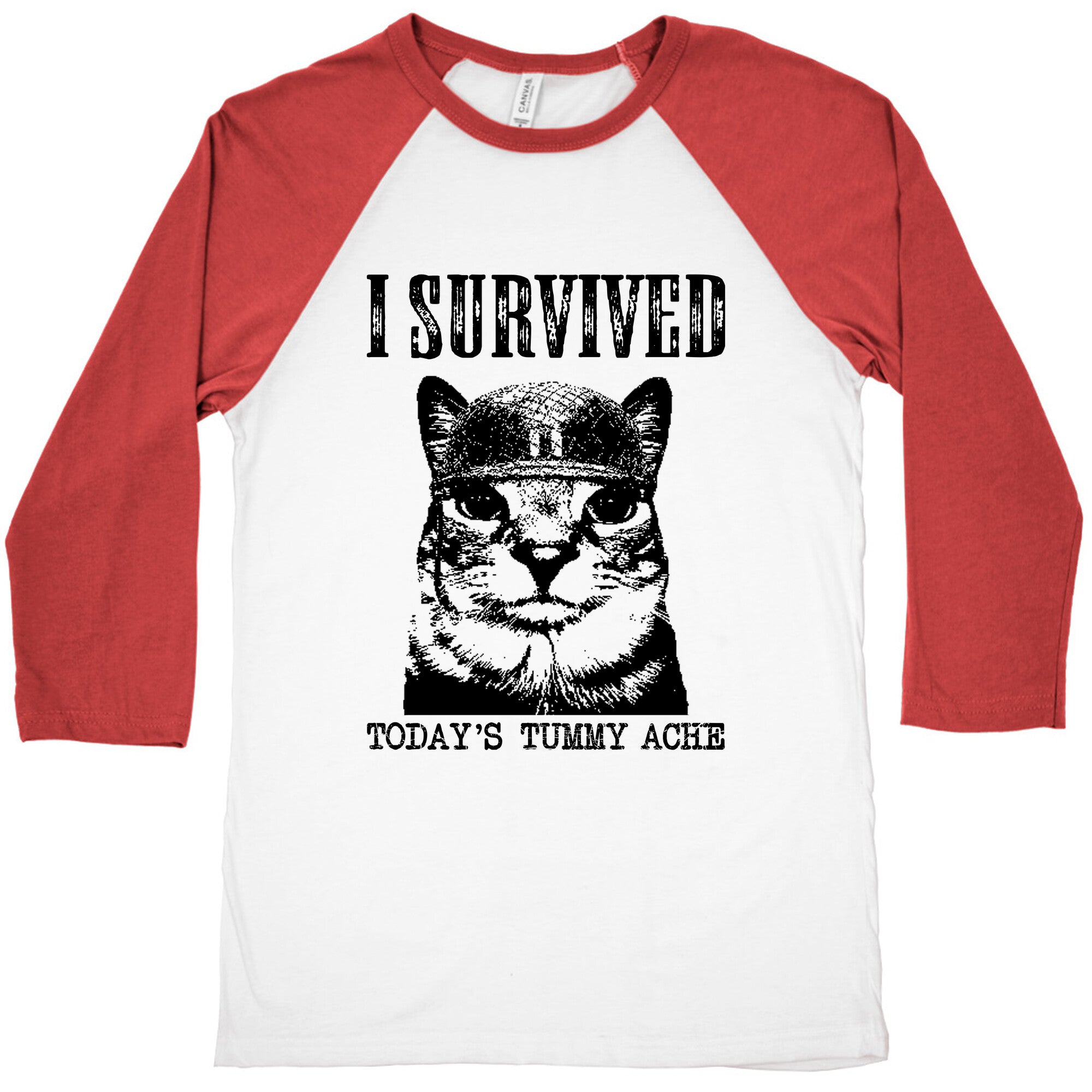 Tummy Ache Survivor Baseball Tee