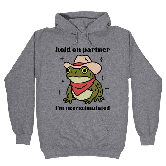 Hold on Partner, Im Overstimulated Hoodie