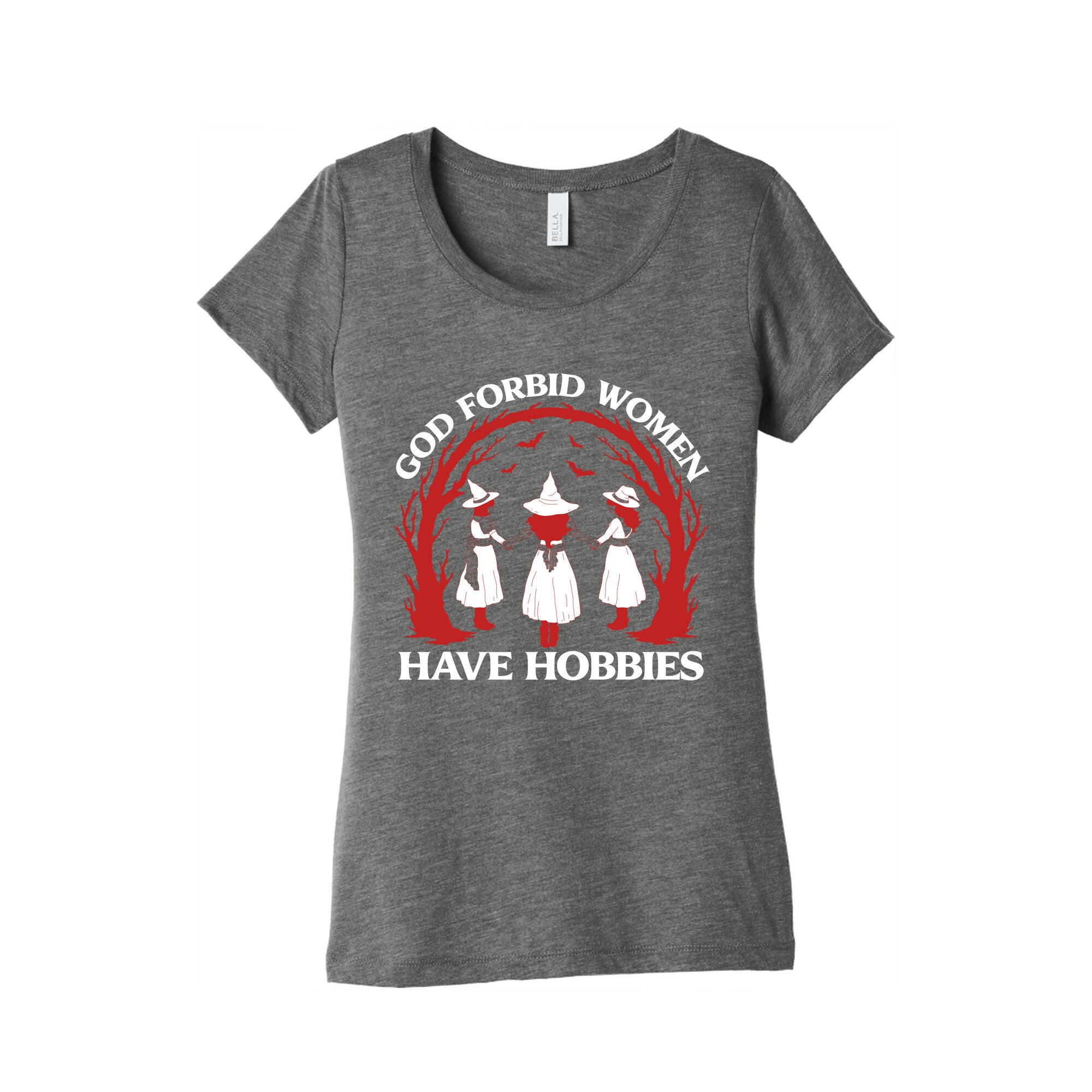 Women Have Hobbies Womens Triblend Tee
