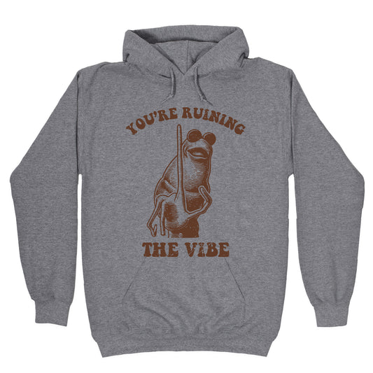 You Are Ruining the Vibe Hoodie