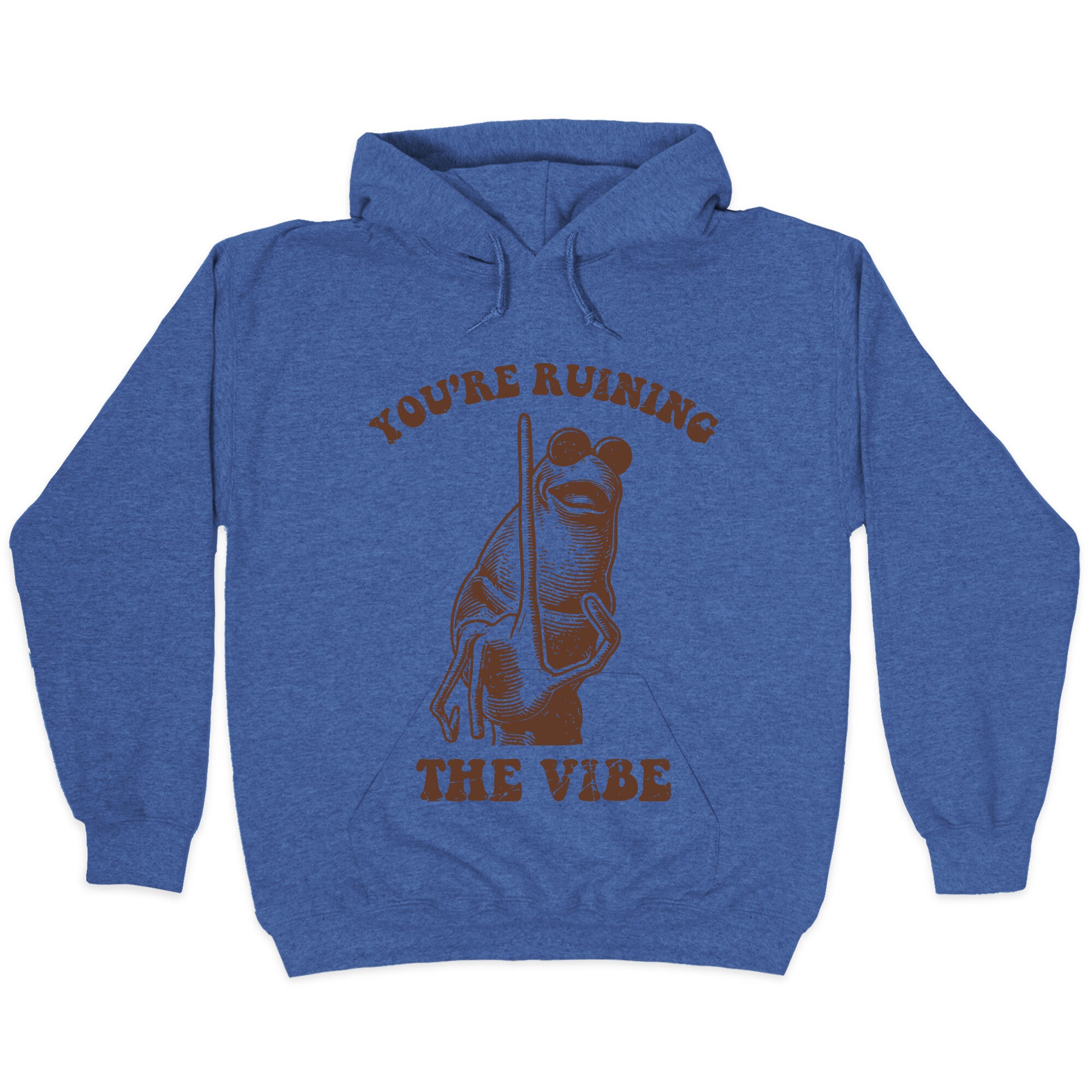 You Are Ruining the Vibe Hoodie