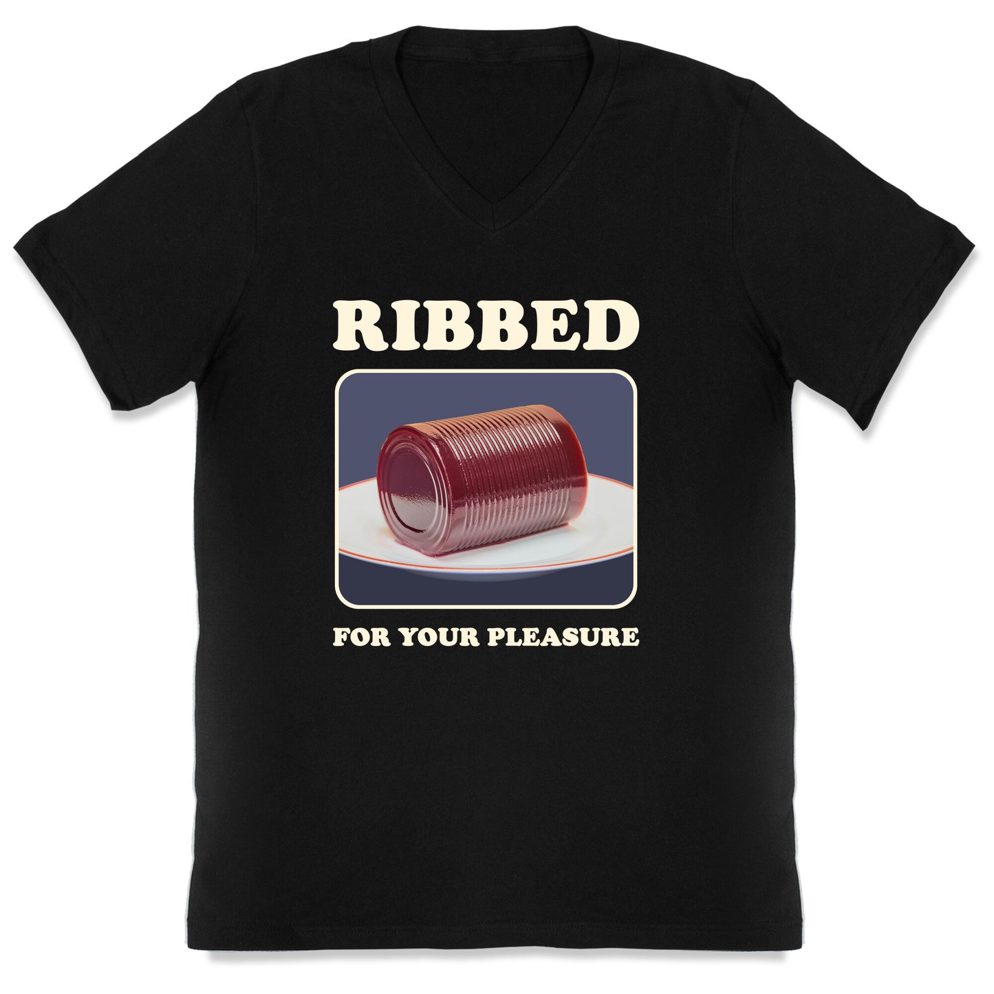 Ribbed for Your Pleasure V-Neck