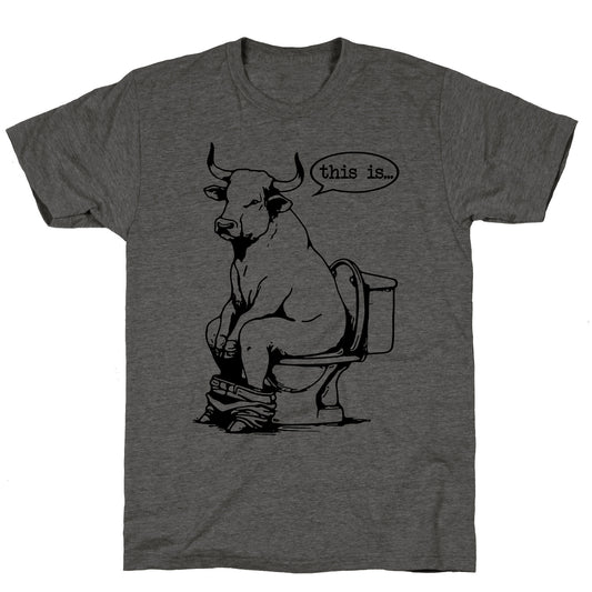 This is Bullshit Unisex Triblend Tee