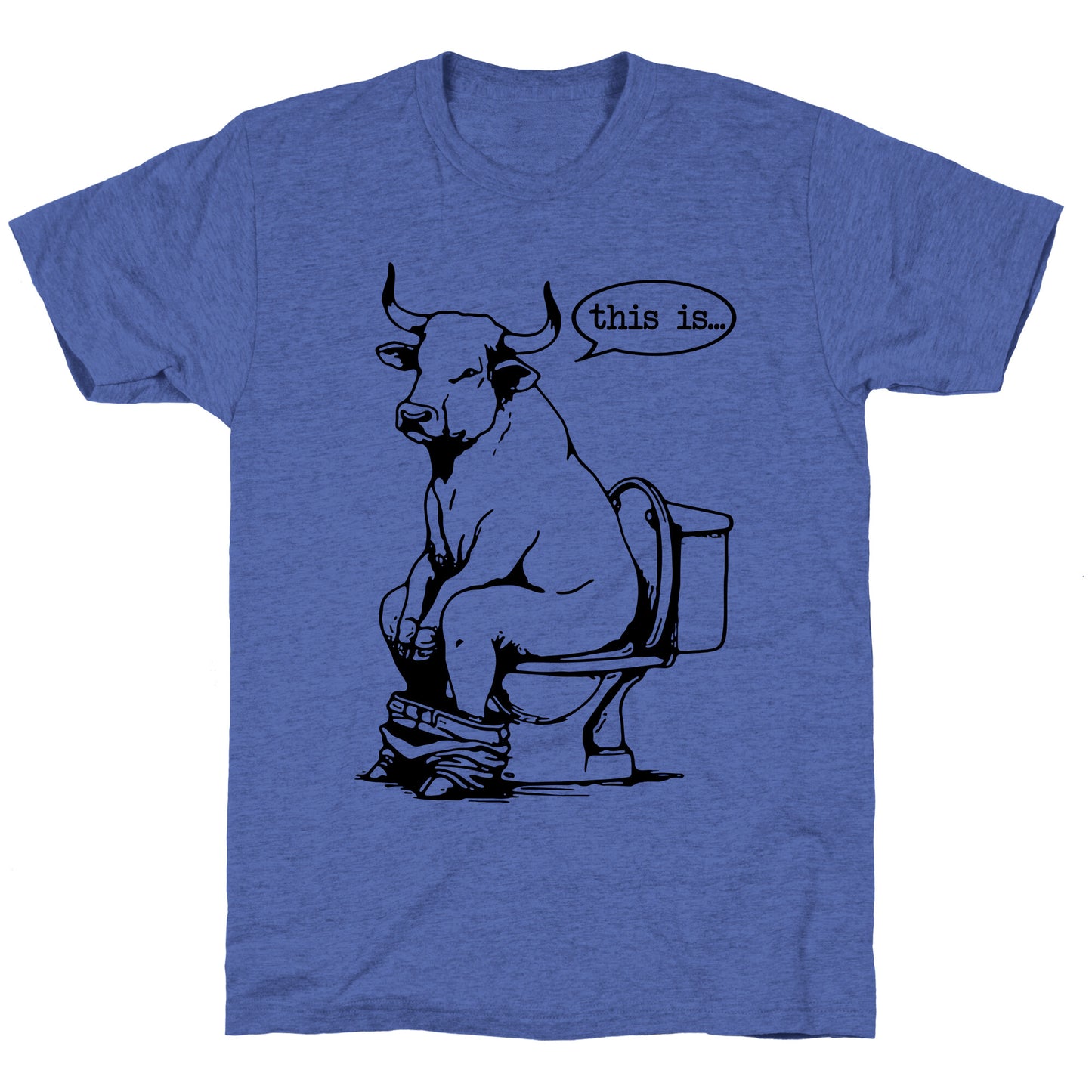 This is Bullshit Unisex Triblend Tee