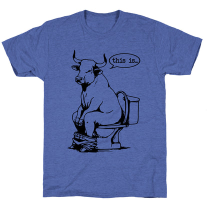 This is Bullshit Unisex Triblend Tee