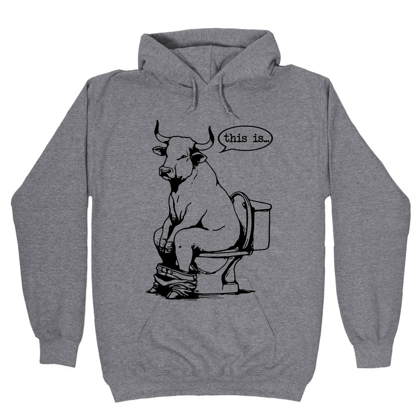 This is Bullshit Hoodie