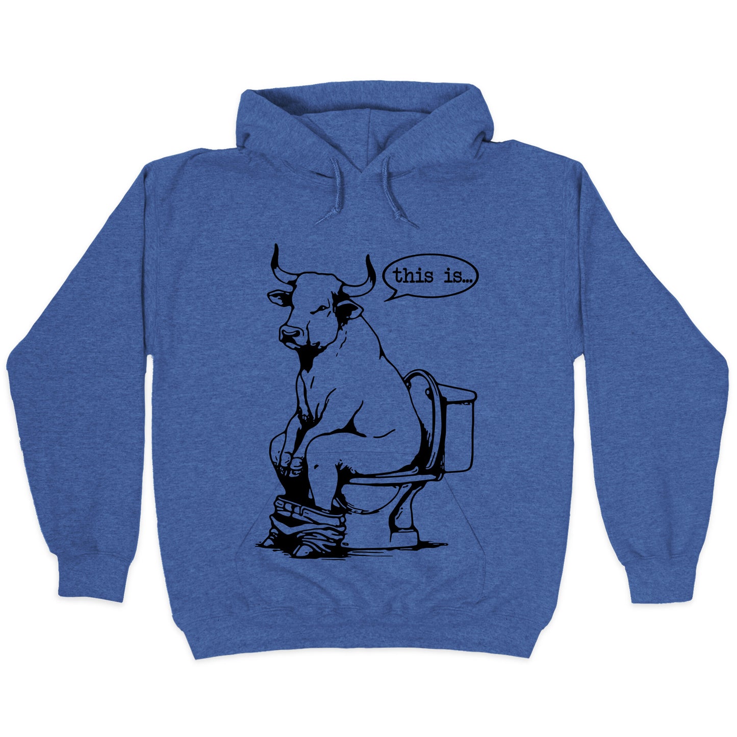 This is Bullshit Hoodie