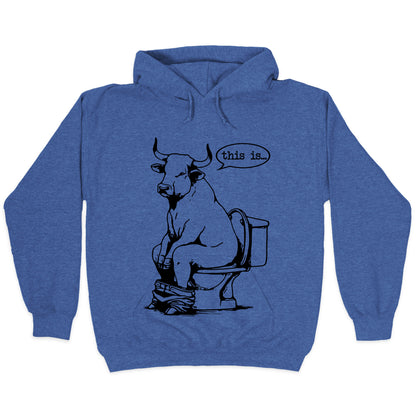 This is Bullshit Hoodie