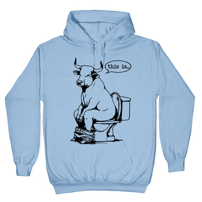 This is Bullshit Hoodie