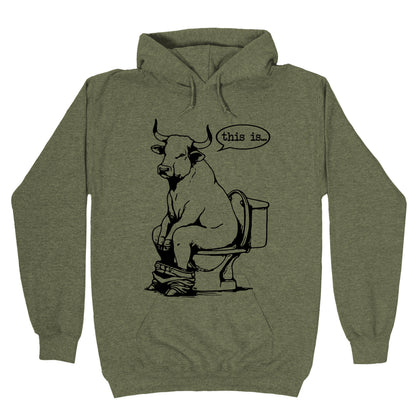 This is Bullshit Hoodie
