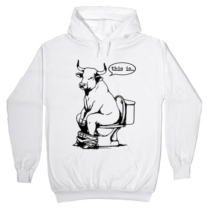 This is Bullshit Hoodie