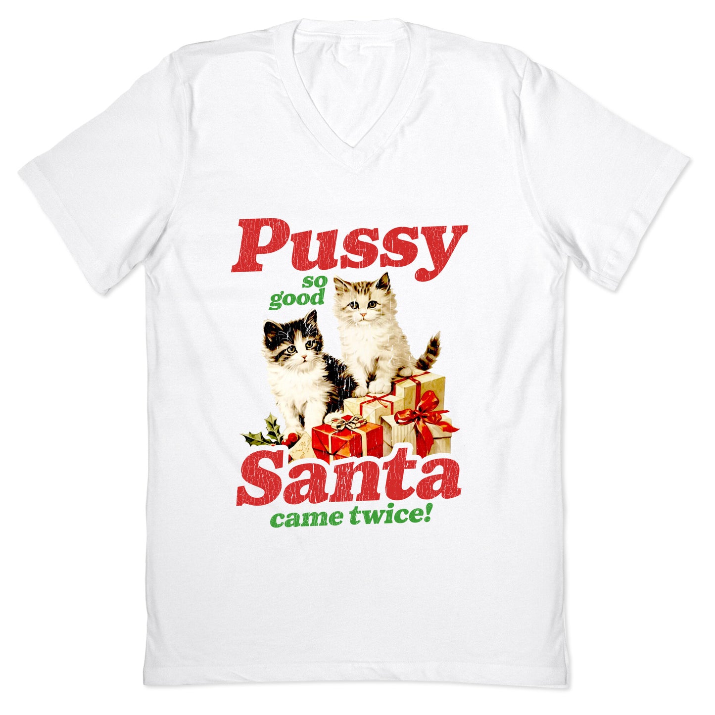 Pussy So Good Santa Came Twice V-Neck