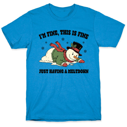 Just Having A Meltdown T-Shirt