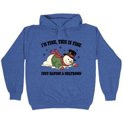 Just Having A Meltdown Hoodie