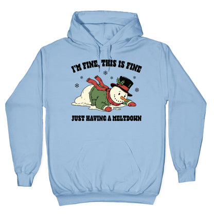 Just Having A Meltdown Hoodie