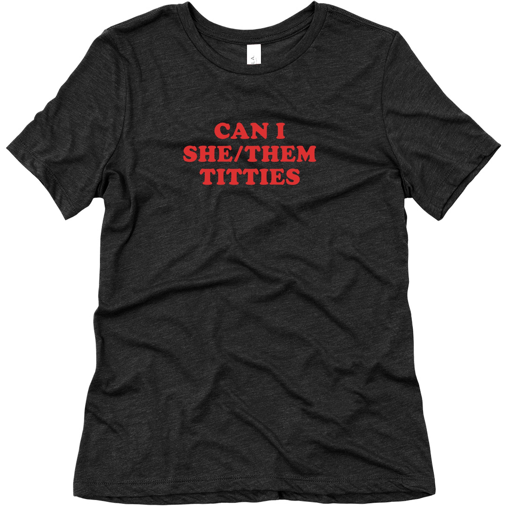 Can I She/Them Titties? Womens Relaxed Fit Triblend Tee