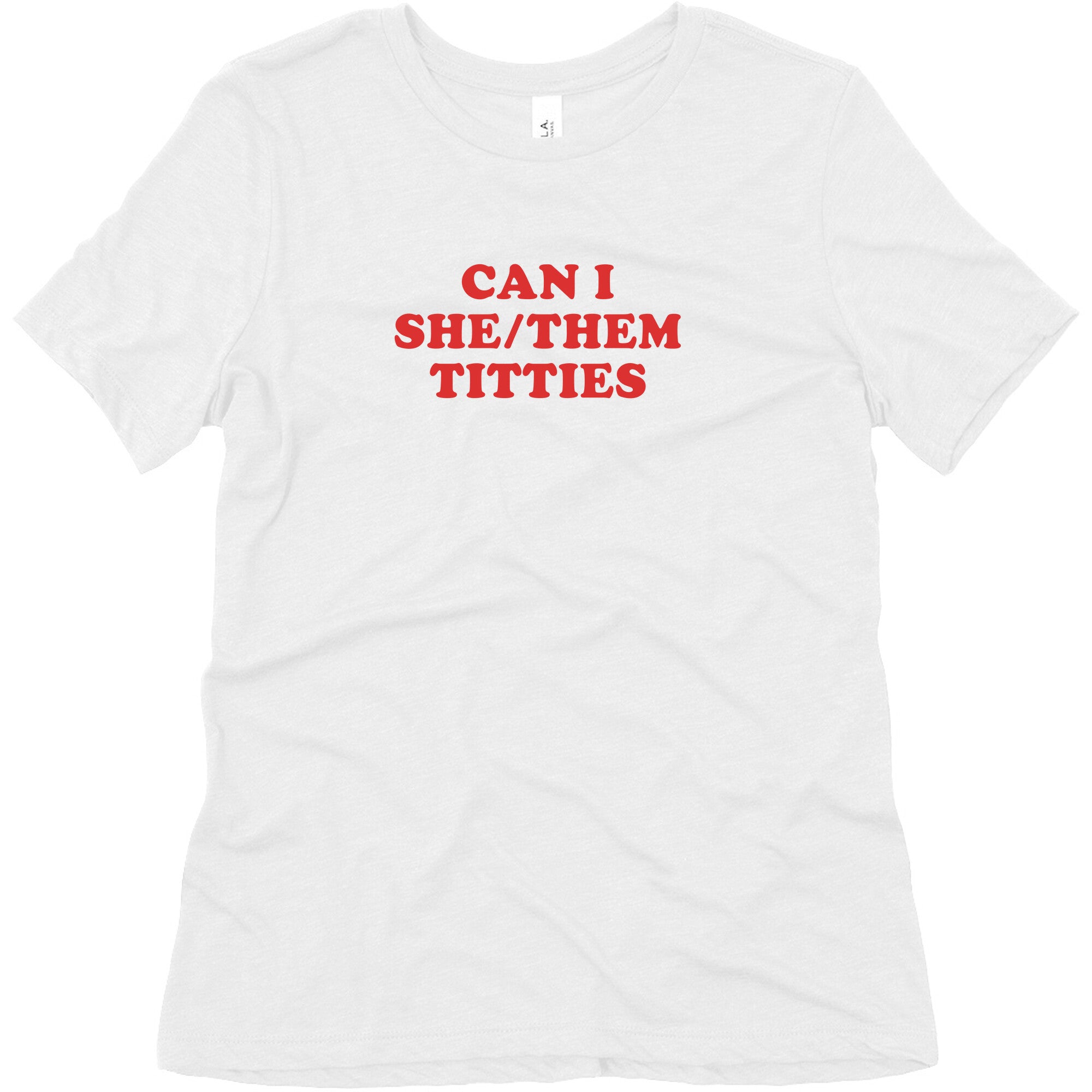 Can I She/Them Titties? Womens Relaxed Fit Triblend Tee